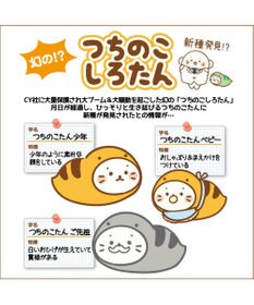 つちのこ しろたん マスコット 《少年 / ベビー / ご先祖》 単品