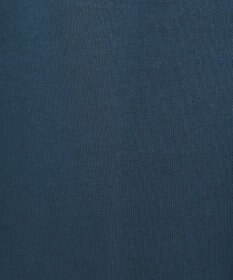 AMERICAN HOLIC デザインカレッジロゴプリントTシャツ