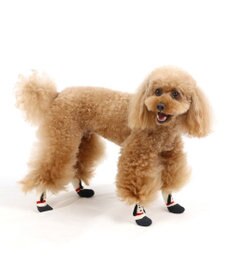 PET PARADISE スヌーピー フィットシューズ 靴下【Ｓ】