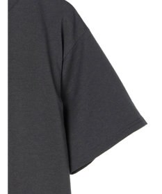 Green Parks ムジークタイガー／バックプリントＴシャツ