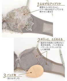 Wing 3/4カップブラ　【2700シリーズ】　しっかりめの着用感　奥行き感と透明感のあるデザイン　ウイング／ワコール　PB2700