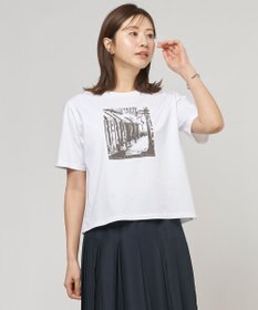 J.PRESS LADIES プリント Ｔシャツ