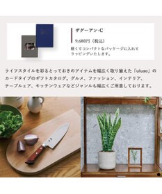 PRESENTERS ROOM uluao(ウルアオ) e-order choice(カードカタログ) ＜ザグーアン カード＞