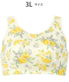 WACOAL 【ナイトアップブラ】 動画クリエイター nanakoななこさんコラボカラー登場 ナイトブラ 就寝時用 3Lまで対応 大きいサイズ ノンワイヤー レディース BRA164 /ワコール