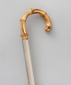 AURORA 【 JILL STUART（ジル スチュアート）】ボタニカルプリント雨傘(長傘)