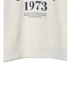 AMERICAN HOLIC ミニ裏毛ロゴカットプルオーバー2