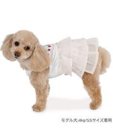 PET PARADISE ペットパラダイス エコメッシュ キャミソール 《苺刺繍》 小型犬