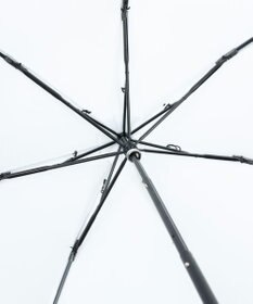 AURORA 【 JILL STUART（ジル スチュアート）】ボタニカルプリント雨傘（折りたたみ傘）