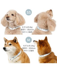 PET PARADISE ペットパラダイス ２８℃ クールリング ＳＭ 《サメ柄》
