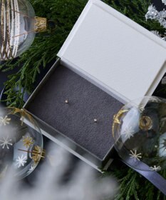 Phoebe 【K10】一粒ダイヤモンドピアス　ゴールド