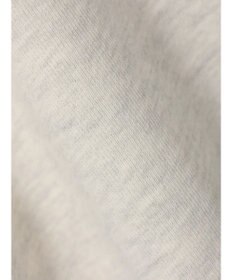 AMERICAN HOLIC ミニ裏毛ロゴカットプルオーバー2