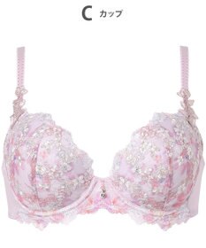 Wing ブラジャー Wing Lesiage ふんわりまるみメイク ソフトなつけごこち 【2120シリーズ】 ブラ Gカップまで対応 大きいサイズ PB2120 ウイング／ワコール