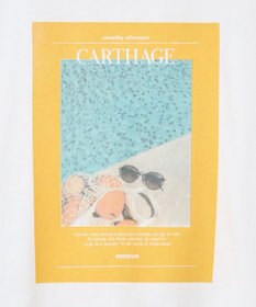 Green Parks フォトボックスＴシャツ