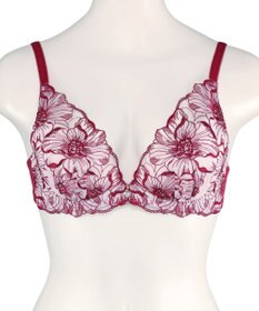 San-ai Resort（三愛水着楽園） エレガントコレクション【2409】単品ブラBCDカップ 【northerly】