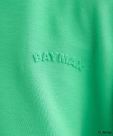 Green Parks １０ｔｈベイマックス／ハーフＺＩＰプルオーバー