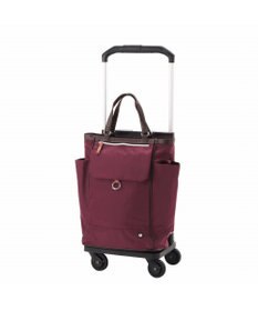 ACE BAGS & LUGGAGE soelte オートゥイユ お買い物キャリーバッグ 21L 機内持込 キャスターストッパー 36002 ソエルテ