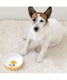 PET PARADISE スヌーピー 75周年 メラミンえさ皿