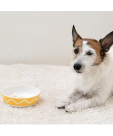 PET PARADISE スヌーピー 75周年 メラミンえさ皿