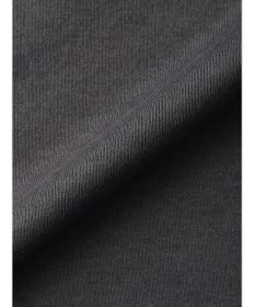 Green Parks ムジークタイガー／バックプリントＴシャツ