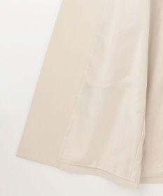 ANY SIS ノーカラーライト テロンチ