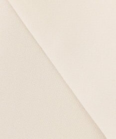 ANY SIS ノーカラーライト テロンチ