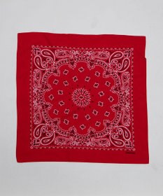 WEGO ペイズリーバンダナ