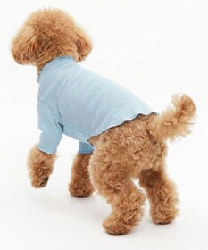 OP／FILA 【Ocean Pacific】メロウドッグウェア ペットウェア