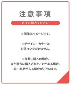 Wing 【2024年HAPPY BAG】 Wing （ブラジャー ３枚セット）