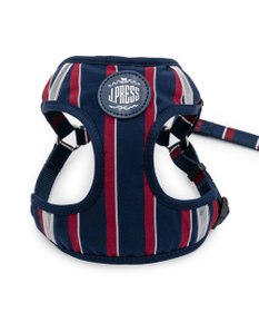 PET PARADISE J.PRESS レジメンタル ハーネス＆リード  小型犬 ＳＳ