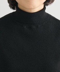 Green Parks チクチクしないリブタートルニットプルオーバー