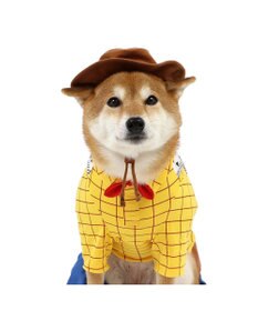 PET PARADISE ディズニー トイ・ストーリー なりきりウッディ 中型犬