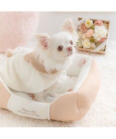 PET PARADISE ペットパラダイス くまさん カドラー 《おやすみ柄》 Ｓ