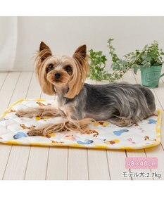 PET PARADISE ディズニー くまのプーさん クールマット 《みんな柄》 Ｓ