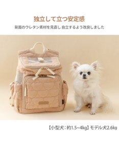 PET PARADISE ペットパラダイス くまちゃん キルティング ハグ＆リュック 超小型犬