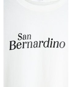 Green Parks コンパクトロゴロンＴ