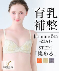 BRADELIS New York 【BRADELIS New York】　ジャスミンステップ1ブラ23A1　しっかりバストを集めてナチュラルなシルエットを作る補整ブラ