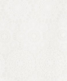 ANY SIS 【洗える】レイヤードレース ブラウス