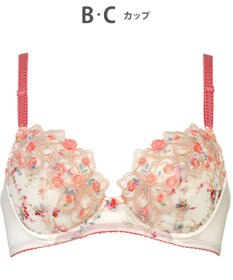 Wing ブラジャー Wing Lesiage 自然なまるみシルエット ソフトなつけごこち 【2960シリーズ】 ブラ PB2960 ウイング／ワコール