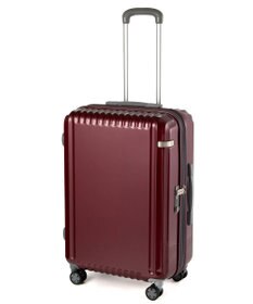 ACE BAGS & LUGGAGE ace. パリセイドZd Mサイズ 59～70L 06818 エース