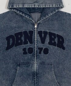 WEGO カレッジロゴBIGZIPパーカー