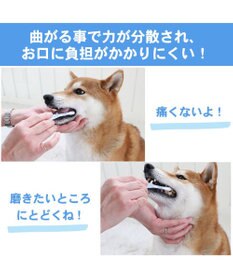 PET PARADISE 【ネット店限定】ペット用品  曲がる 歯ブラシ ２本セット  全犬種対応