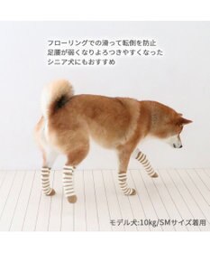 PET PARADISE ペットパラダイス makokoro スリット 靴下  《ボーダー》 ＳＭ 中型犬