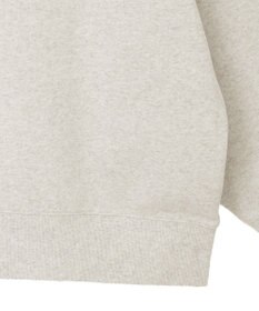 AMERICAN HOLIC STORE 裏毛プルオーバー