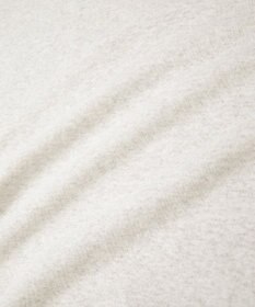 AMERICAN HOLIC STORE 裏毛プルオーバー