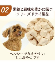 PET PARADISE サクサク鶏ささみ フリーズドライ 16g 国産