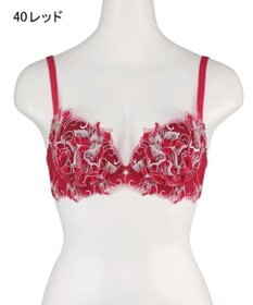 San-ai Resort（三愛水着楽園） 【エレガントコレクション2311】単品ブラEFGカップ  【northerly】