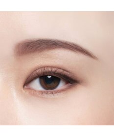 Chacott Cosmetics フェイスカラーパレット【508】愛されブラウン