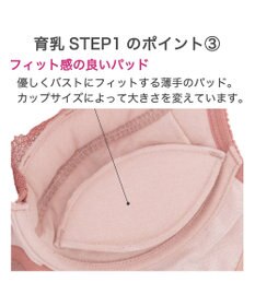 BRADELIS New York 【BRADELIS New York / 育乳補整ブラ・STEP1 集める】ウェンディステップ1ブラ24S1 脇のお肉もふんわり包んで補正するブラ