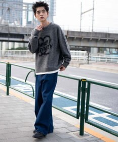 WEGO 【ユニセックス着用ITEM/MLサイズ展開】シャギーグラフィックプルオーバー