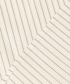 J.PRESS LADIES 【洗える】BEZ ドビーストライプ フリルネック ブラウス